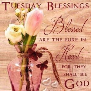 Meet your Posher, Sariya